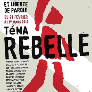 TéMA REBELLE, du punk au rap, indépendance et liberté de parole