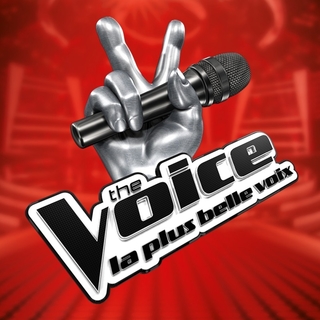 The Voice en casting actuellement, une audience jamais égalée pour la 8ème édition de The Voice Kids ! Comment rejoindre l’aventure ?