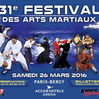 Festival des arts martiaux, un show époustouflant pour tous les fans !
