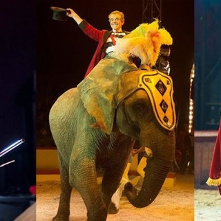 Un spectacle équestre dans le pays d’Uzès ça vous tente? Piéric et Casting.fr vous offre des places!