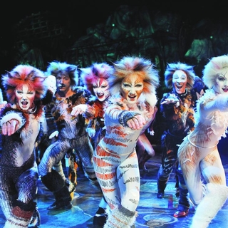 En exclusivité pour vous, Casting.fr s'est glissé dans les coulisses de Cats