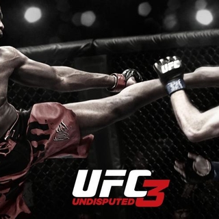 L'Ultimate Fighting Championship arrive sur Casting.fr !