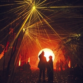 Light Cycles : la nature s’illumine à La Villette