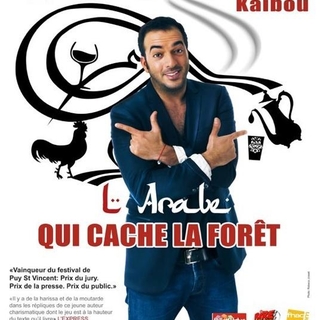 Foudil Kaibou dans "L'Arabe qui cache la forêt" un one man show audacieux!