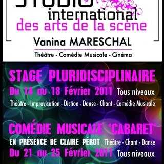 Stage de Comédie musicale au studio International des Arts de la Sc