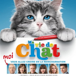 Ma vie de Chat, une nouvelle comédie fantastique au poil, Casting.fr vous offre des places