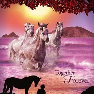 Spectacle "Together Forever" d'Apassionata à Paris Bercy !