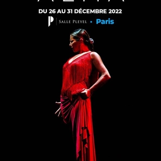 Avec « Alma » de Sara Baras, la magie du flamenco débarque en France pour les fêtes de fin d’année !