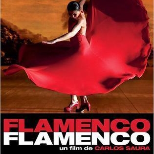 Le film "Flamenco Flamenco" en salles le 14 décembre !