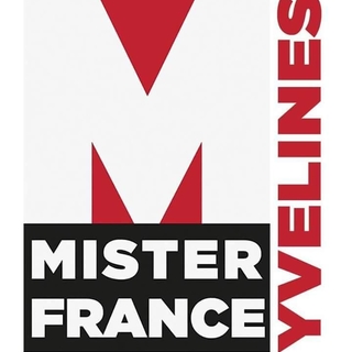 Mister France Yvelines recrute ses prochains candidats, participez!