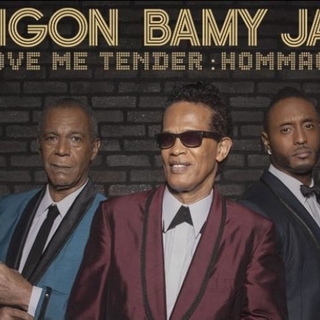 Vigon Bamy Jay rendent hommage au Roi du Rock'n Roll Elvis Presley avec leur nouvel album