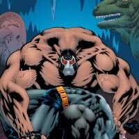 "Batman Knightfall : La chute", un ouvrage rythmé et addictif qui porte bien son nom