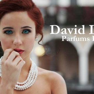 Un nouveau parfum pour les fêtes ? David Liss vous offre une de ses créations