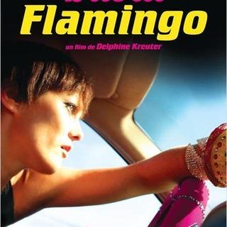 Gagnez des places du film " Dubaï Flamingo" sur Casting.fr !