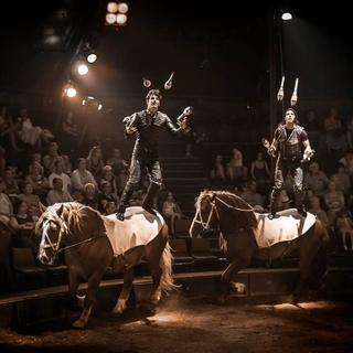 Alexandre et Charles Gruss, jumeaux talentueux, sont la relève de la nouvelle génération du monde du cirque !