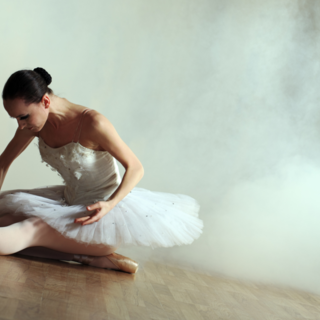 Casting danseuse classique entre 20 et 25 ans pour tournage