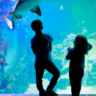 Casting figurant enfant fille et garçon entre 6 et 11 ans avec parents pour film de Géraldine Nakache