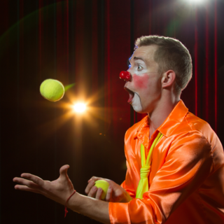 Casting artiste circassien entre 16 et 46 ans pour championnat du Monde des Arts de scène