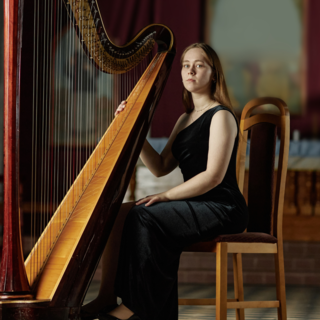 Casting musicien ou musicienne harpiste de tout âge pour animation Noël en entreprise