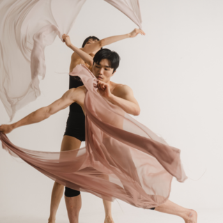 Casting danseur et danseuse entre 16 et 46 ans pour championnat du Monde des Arts de scène