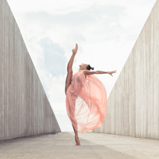 Casting danseuse professionnelle de 18 ans et plus pour spectacle