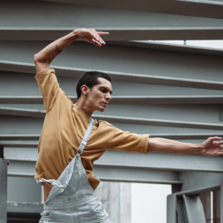 Casting danseur pour spectacles avec une compagnie