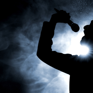 Casting chanteur entre 18 et 35 ans pour rôle principal dans comédie musicale Le Roi Lion