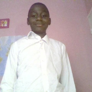 Harrymad