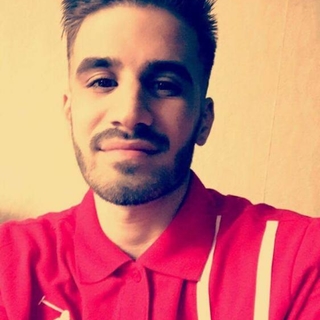 davidsina