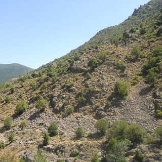 Estibere