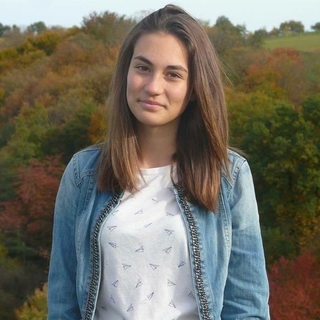 ambre_anfs