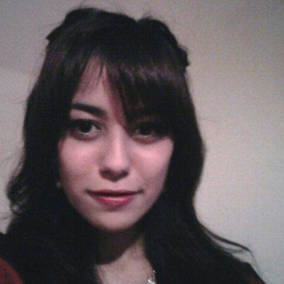 sarak33