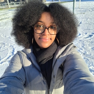 loui_iise09
