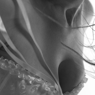 studio79