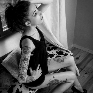 CindyModL