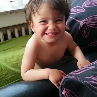 lina2013