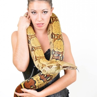 Berenice69