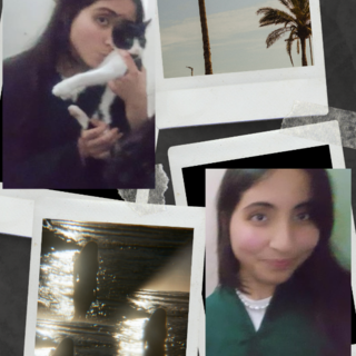 zainabkaram1