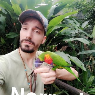 Simbadion
