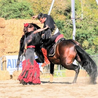 Kalidor