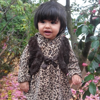alhayany