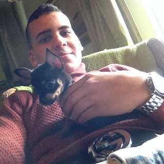 MizoBlls