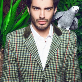 narcisp