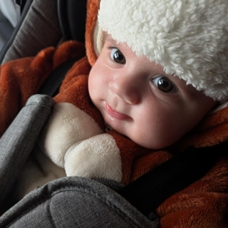petitleo