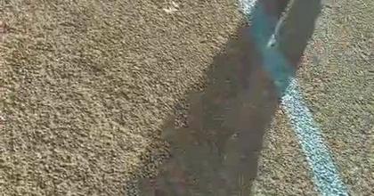 Acteur de complément série les évaporés