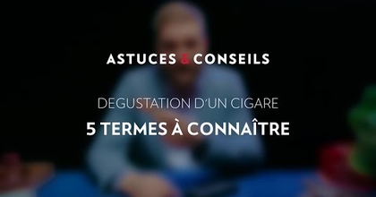 Astuces & Conseils : Dégustation d'un cigare - 5 termes à connaître