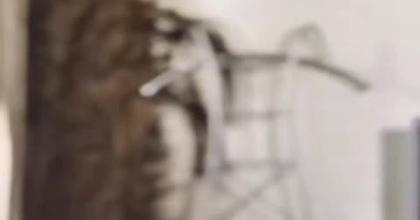 Moi dans mes délires