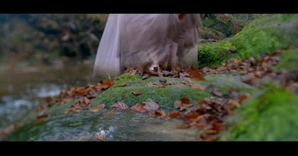 Autumn Tree - Morgane  (clip officiel)